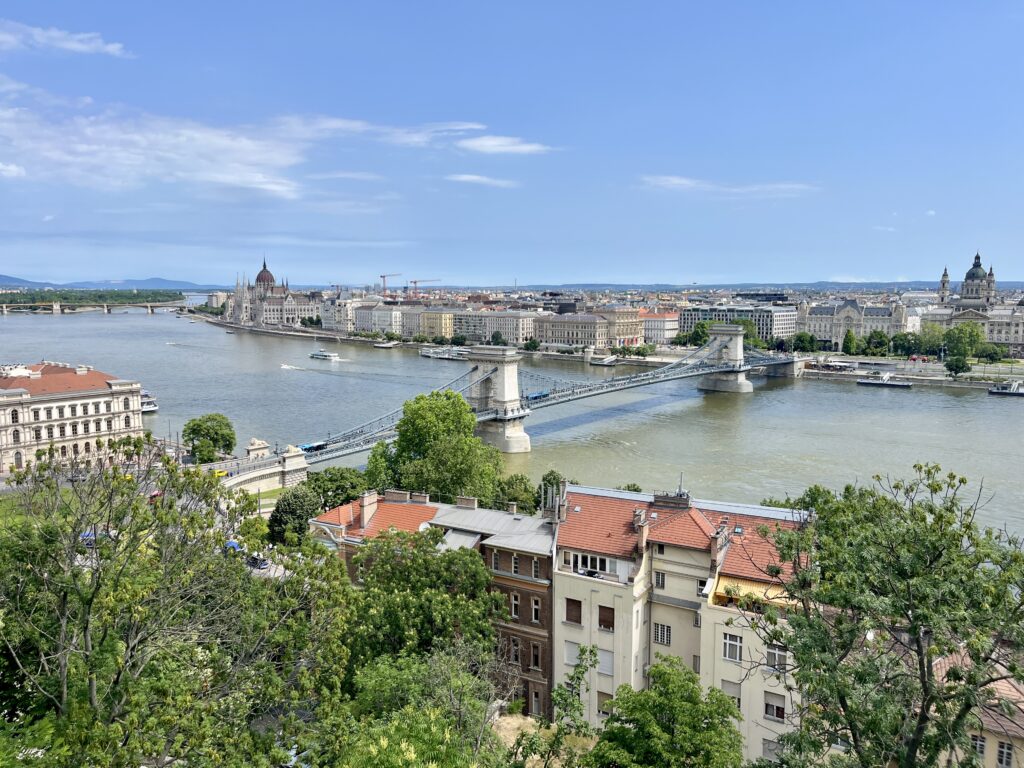 Buda Castle View