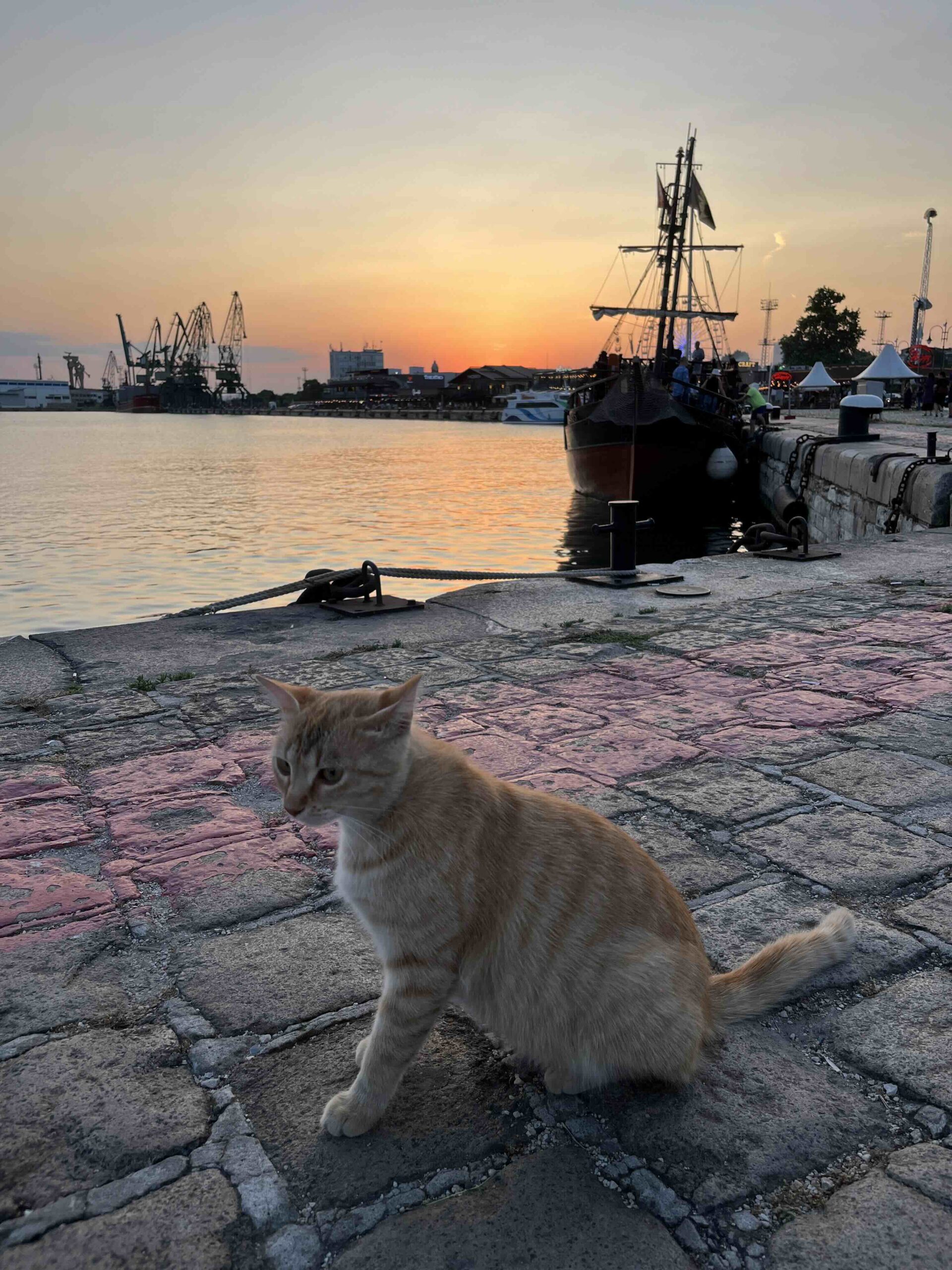 Varna Port, Bulgaria